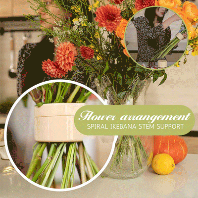 Spiral Flower Stem Holder Ikebana Floral Arrangement Tool