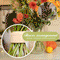 Spiral Flower Stem Holder Ikebana Floral Arrangement Tool