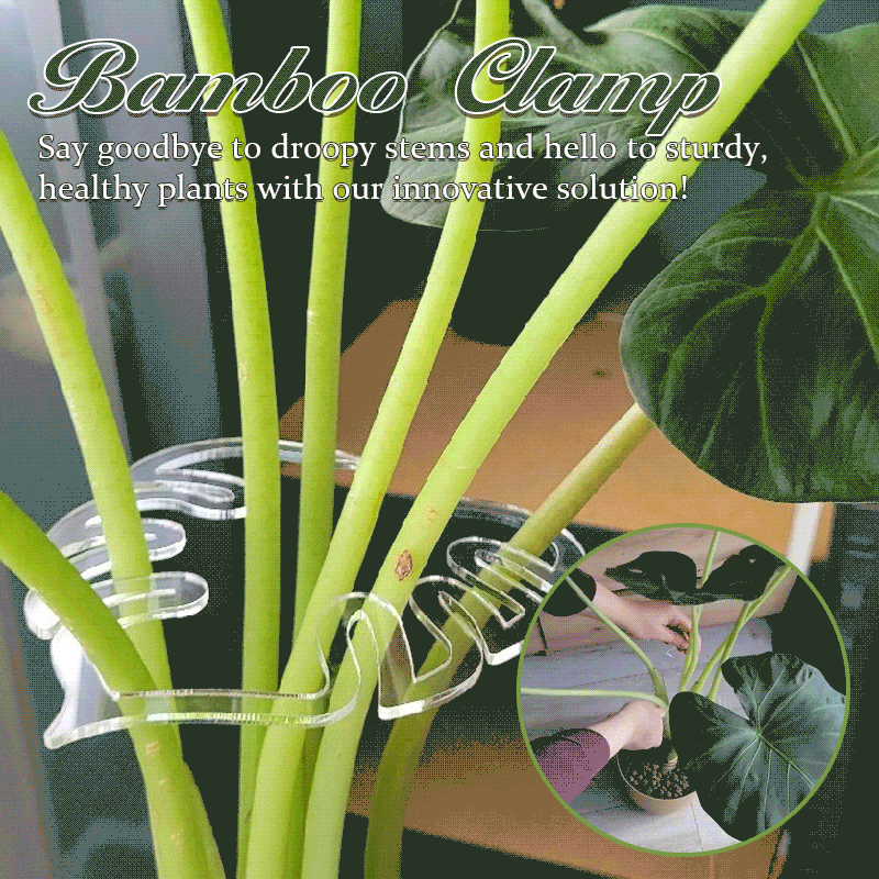 Turtle Shell Bamboo Plant Stem Support Clamp Set For Gardening