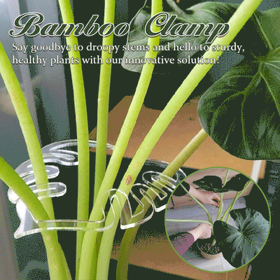 Turtle Shell Bamboo Plant Stem Support Clamp Set For Gardening