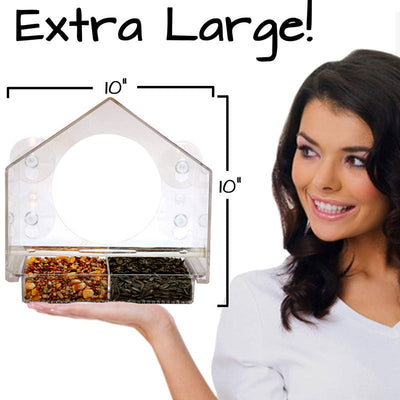 Window Bird Feeder With Live Camera For Close Bird Watching