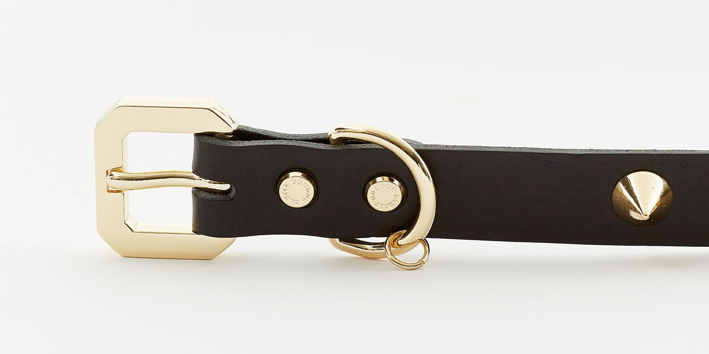 Golden Spike Leather Dog Collar Durable Stylish Black Design