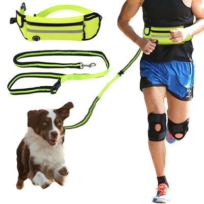 Dog Walking Waist Bag For Hands Free Outdoor Sports