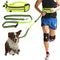 Dog Walking Waist Bag For Hands Free Outdoor Sports