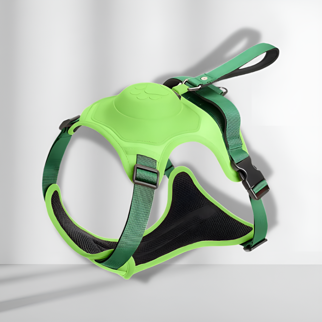 No-pull Dog Harness Adjustable Comfortable Walking Leash Set