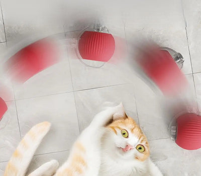 Interactive Auto Rolling Cat Toy USB Rechargeable Play Ball For Cats