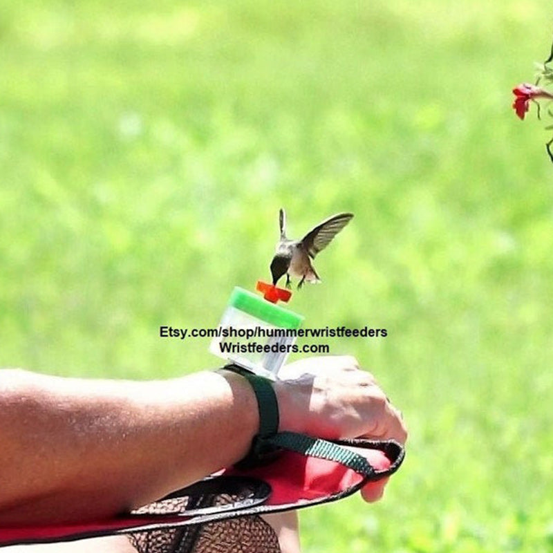 Hummingbird Feeder Garden Bird Nectar Feeder Outdoor Decor