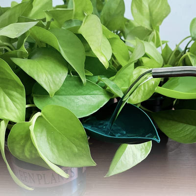 Plant Watering Funnel For Easy Precise Indoor And Outdoor Use