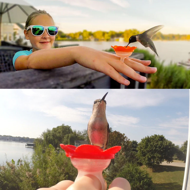 Hummingbird Feeder Garden Bird Nectar Feeder Outdoor Decor