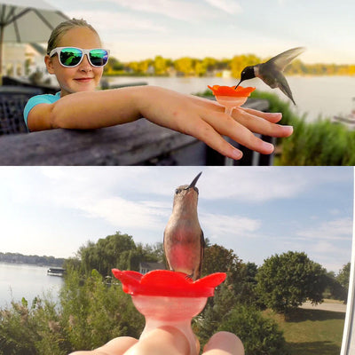 Hummingbird Feeder Garden Bird Nectar Feeder Outdoor Decor