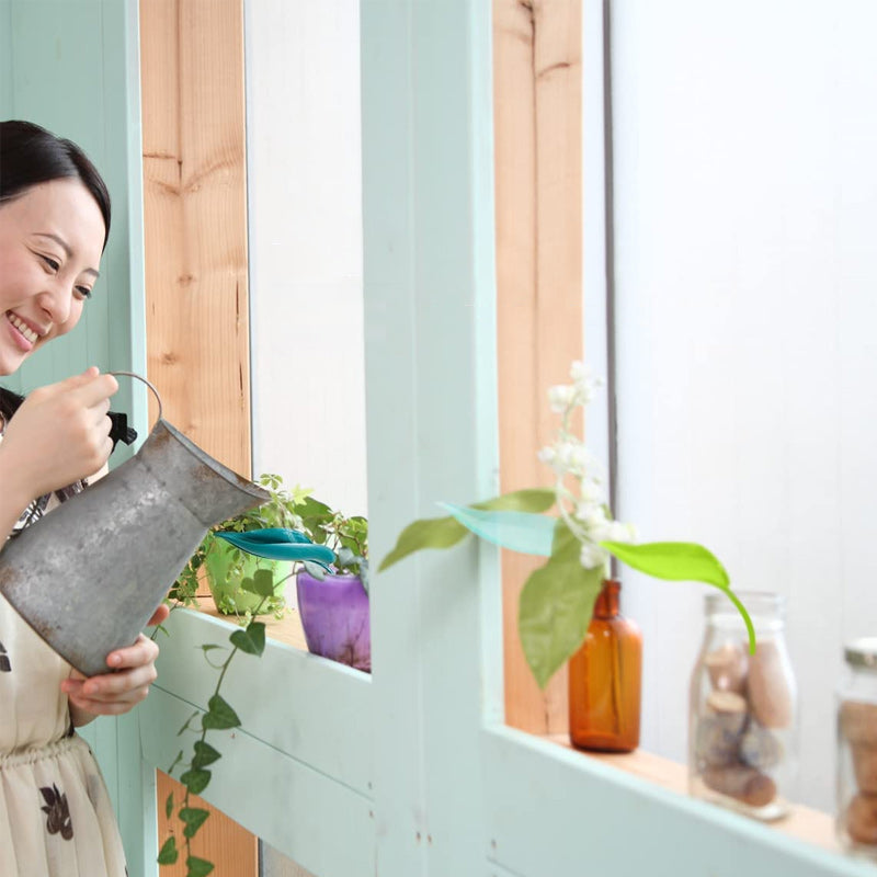 Plant Watering Funnel For Easy Precise Indoor And Outdoor Use
