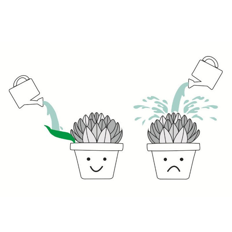 Plant Watering Funnel For Easy Precise Indoor And Outdoor Use