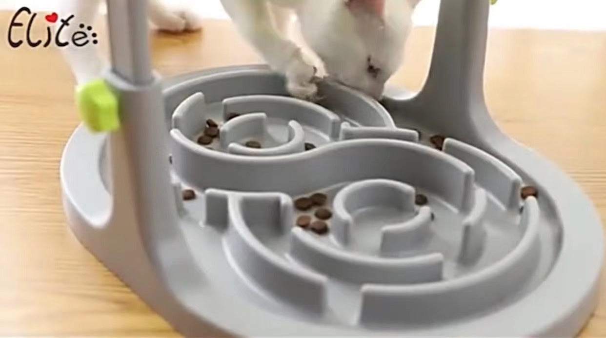 Pet Feeding Bowl Durable Non Slip Water And Food Dish For Pets