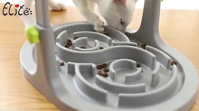 Pet Feeding Bowl Durable Non Slip Water And Food Dish For Pets