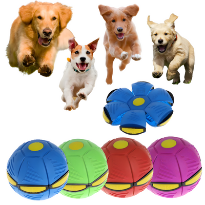 Dog Frisbee Durable Outdoor Fetch Toy For Active Dogs