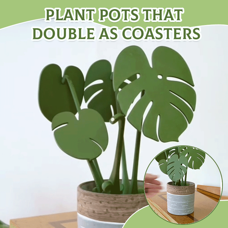 Plant Pots That Double As Coasters For Stylish Indoor Gardening