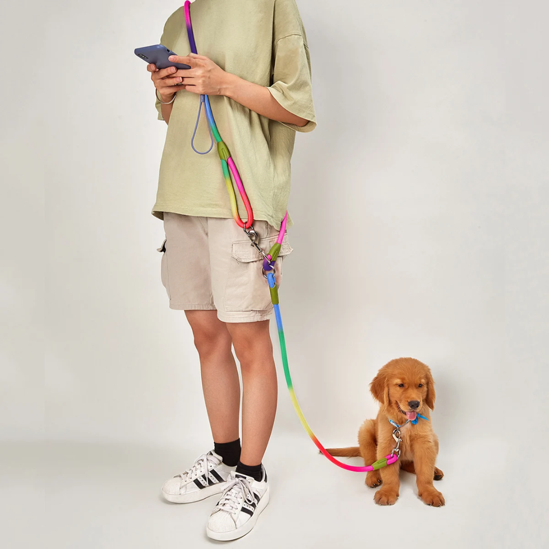 Adjustable Hands-Free Dog Leash For Running And Walking Comfort