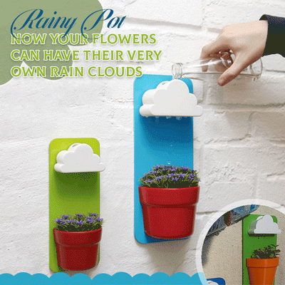 Rainy Pot Wall Mounted Flower Pot With Unique Rain Cloud Design