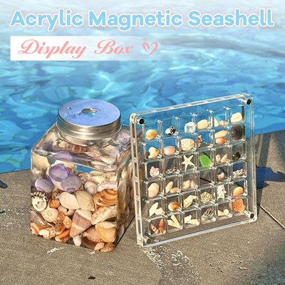 Acrylic Seashell Display Box With Magnetic Closure For Collections