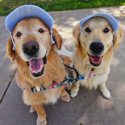 Dog Sun Hat Protective Lightweight Adjustable Summer Cap For Dogs
