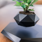 Magnetic Levitating Plant Pot Floating Air Bonsai Decor
