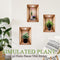 Simulated Plant Flowers 3D Photo Frame Wall Sticker Decoration