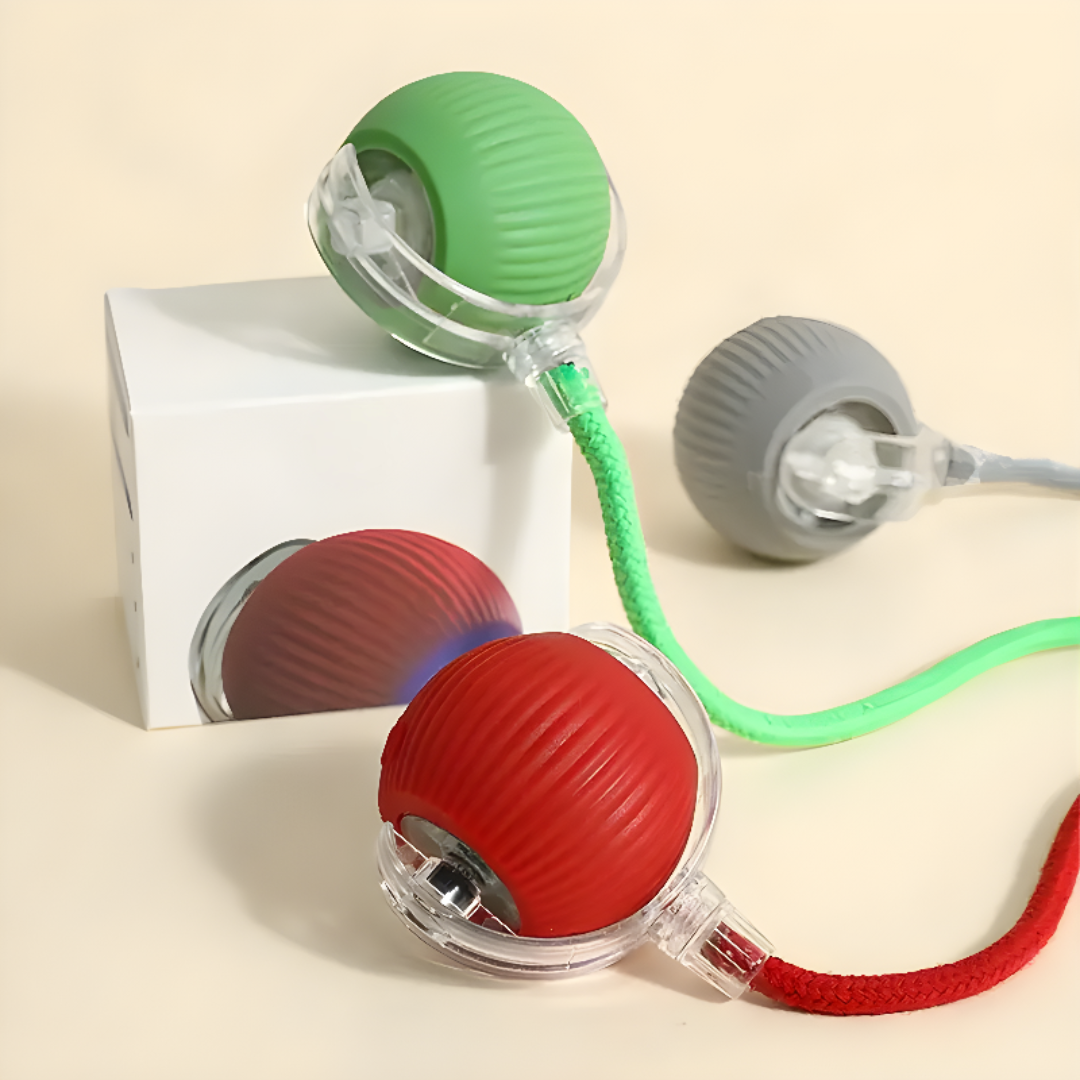 Interactive Cat Ball Toy For Active Play And Exercise
