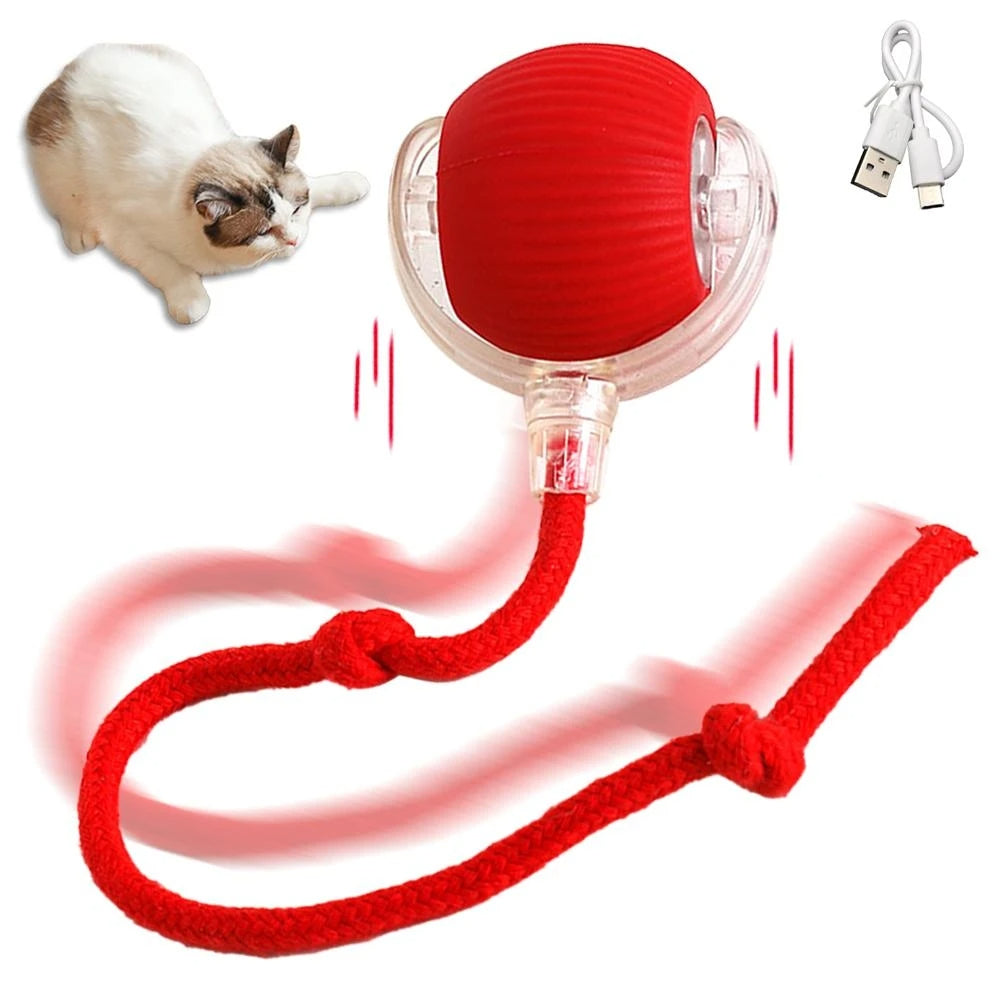 Interactive Auto Rolling Cat Toy USB Rechargeable Play Ball For Cats