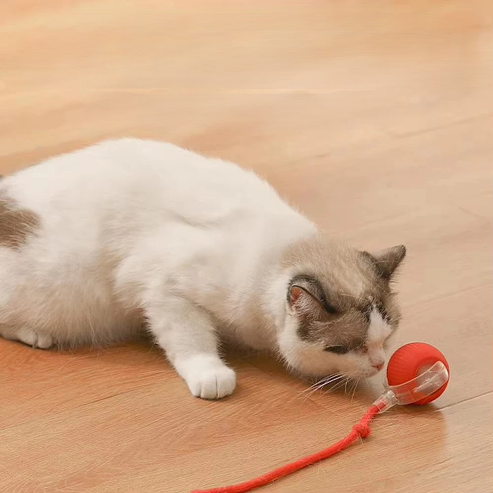Interactive Auto Rolling Cat Toy USB Rechargeable Play Ball For Cats