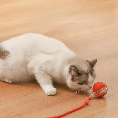 Interactive Auto Rolling Cat Toy USB Rechargeable Play Ball For Cats