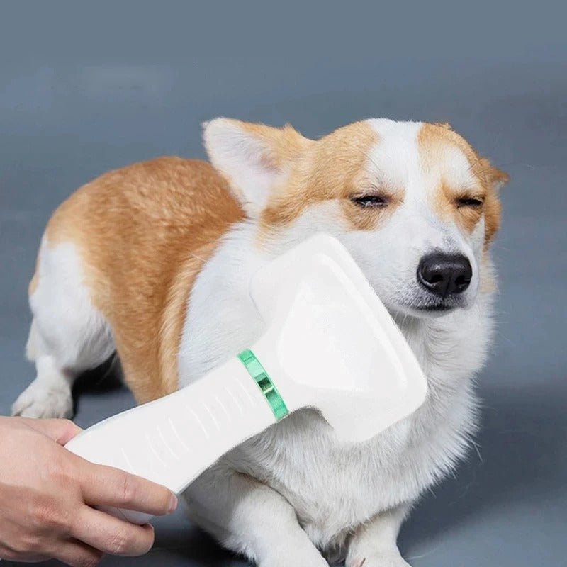 Portable Pet Hair Dryer With Adjustable Temperature And Grooming Comb