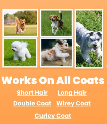 Pet Hair Detangling Comb Grooming Brush For Smooth Coat Care