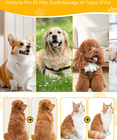 Pet Hair Detangling Comb Grooming Brush For Smooth Coat Care