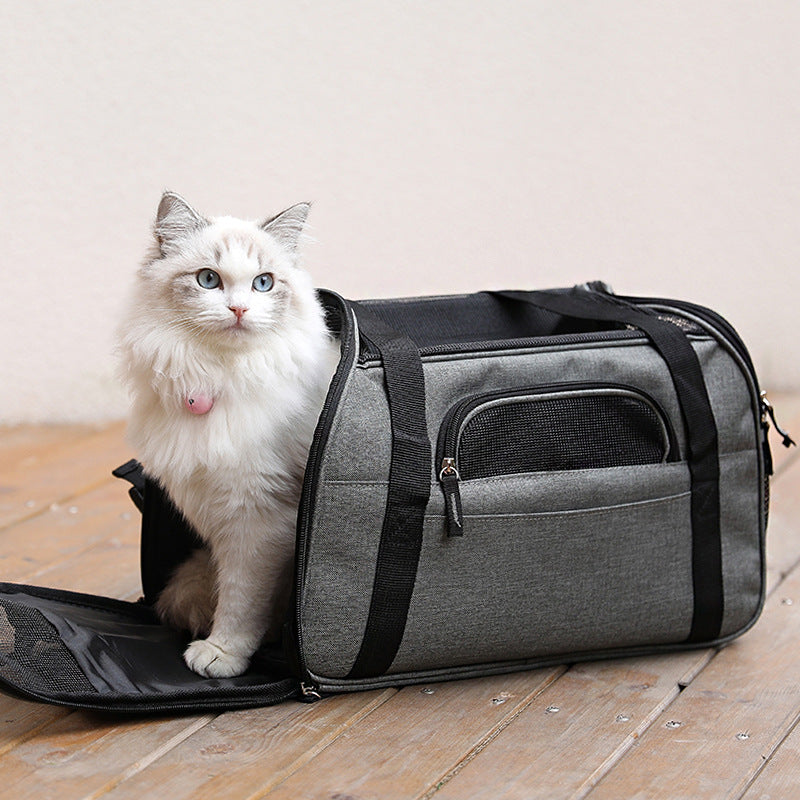 Transparent Pet Carrier Backpack For Comfortable Travel And Safety