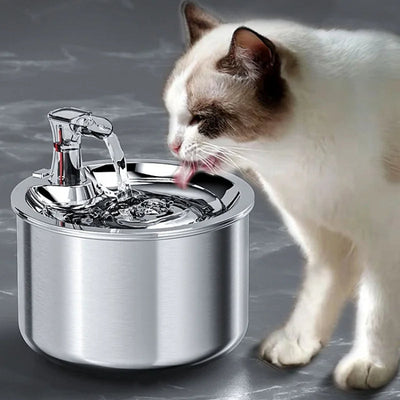 Stainless Steel Pet Water Fountain Automatic 2L Dispenser With Heater Sensor