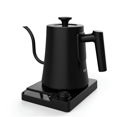 Gooseneck Electric Kettle With Precise Temperature Control