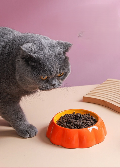 Ceramic Pet Bowl With Fruit Design Anti-Tip Food And Water Feeder