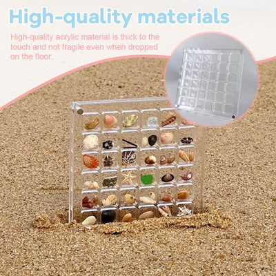 Acrylic Seashell Display Box With Magnetic Closure For Collections