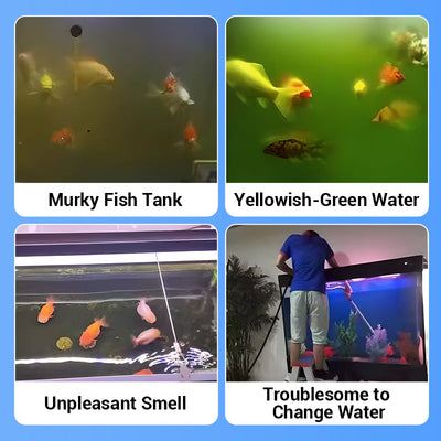 Powerful Aquarium Water Purification Tablet For Clean Healthy Fish Tanks