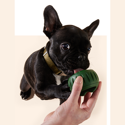 Durable Interactive Dog Chew Toy For Engaging Playtime