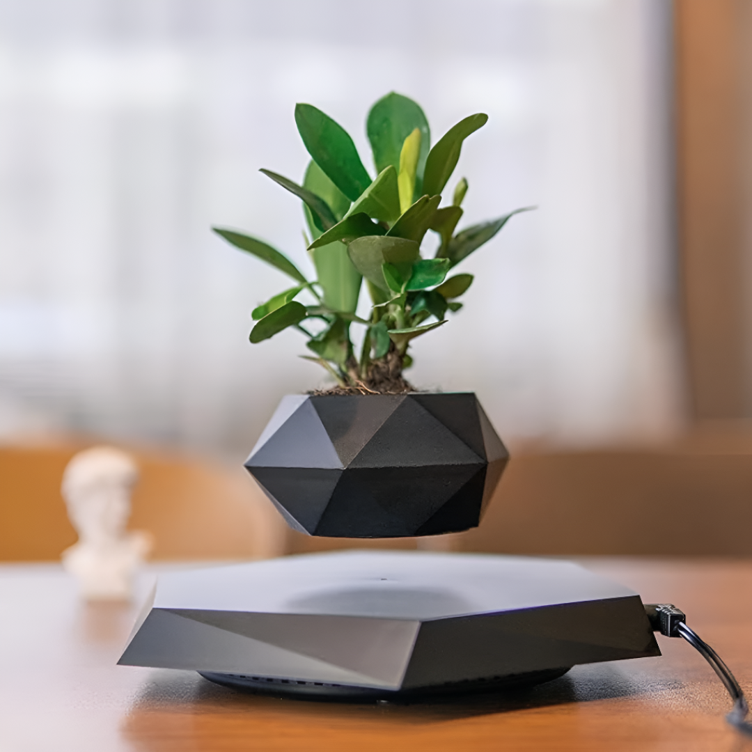 Magnetic Levitating Plant Pot Floating Air Bonsai Decor
