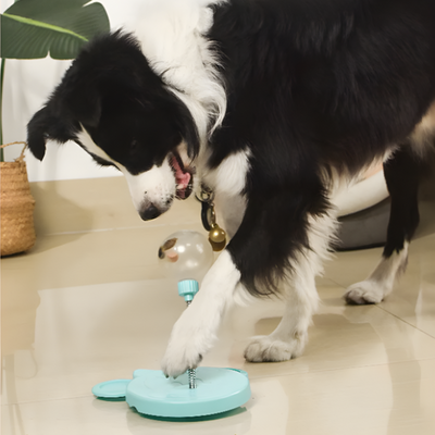 Cat Treat Dispenser Interactive Ball Toy For Cats And Kittens