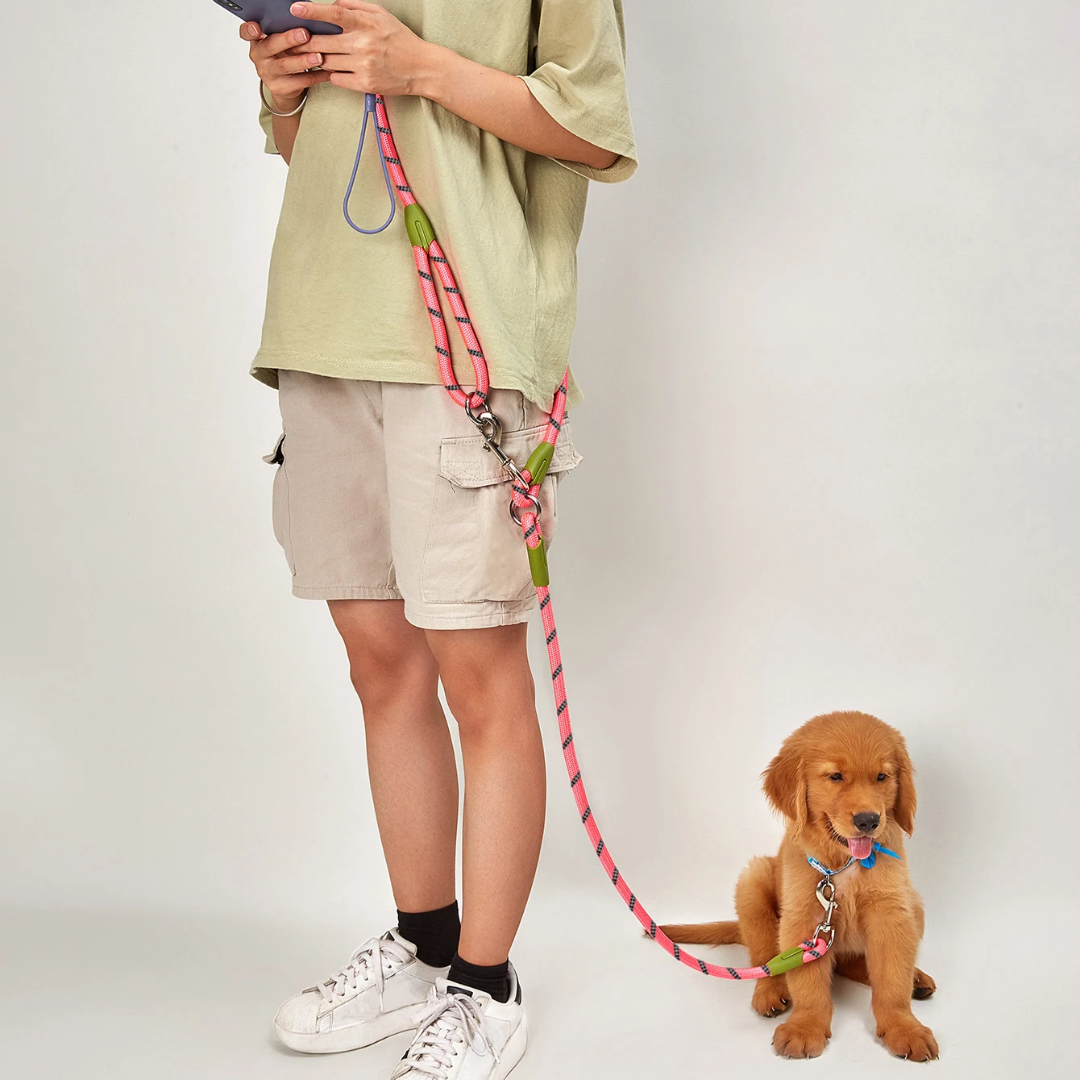 Adjustable Hands-Free Dog Leash For Running And Walking Comfort