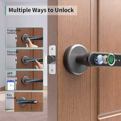 Smart Fingerprint Door Lock Keypad Access Control Security