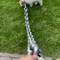 Heavy-Duty Steel Dog Leash Strong Durable Large Dog Chain