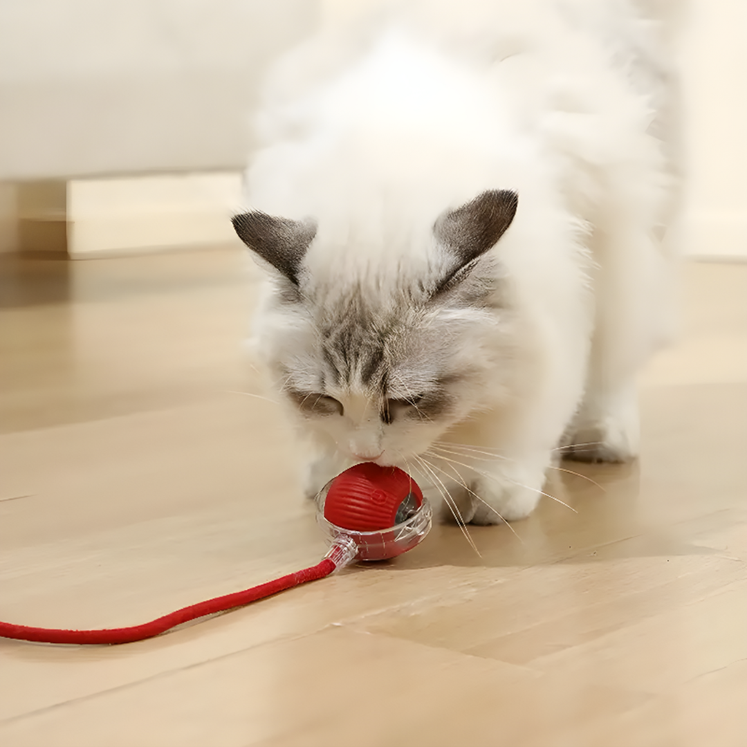 Interactive Cat Ball Toy For Active Play And Exercise