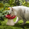 Elevated Ceramic Cat Bowl With Mushroom Design For Pets