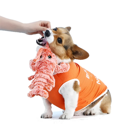 Interactive Lobster Dog Toy Moving Pet Chew Play Fun