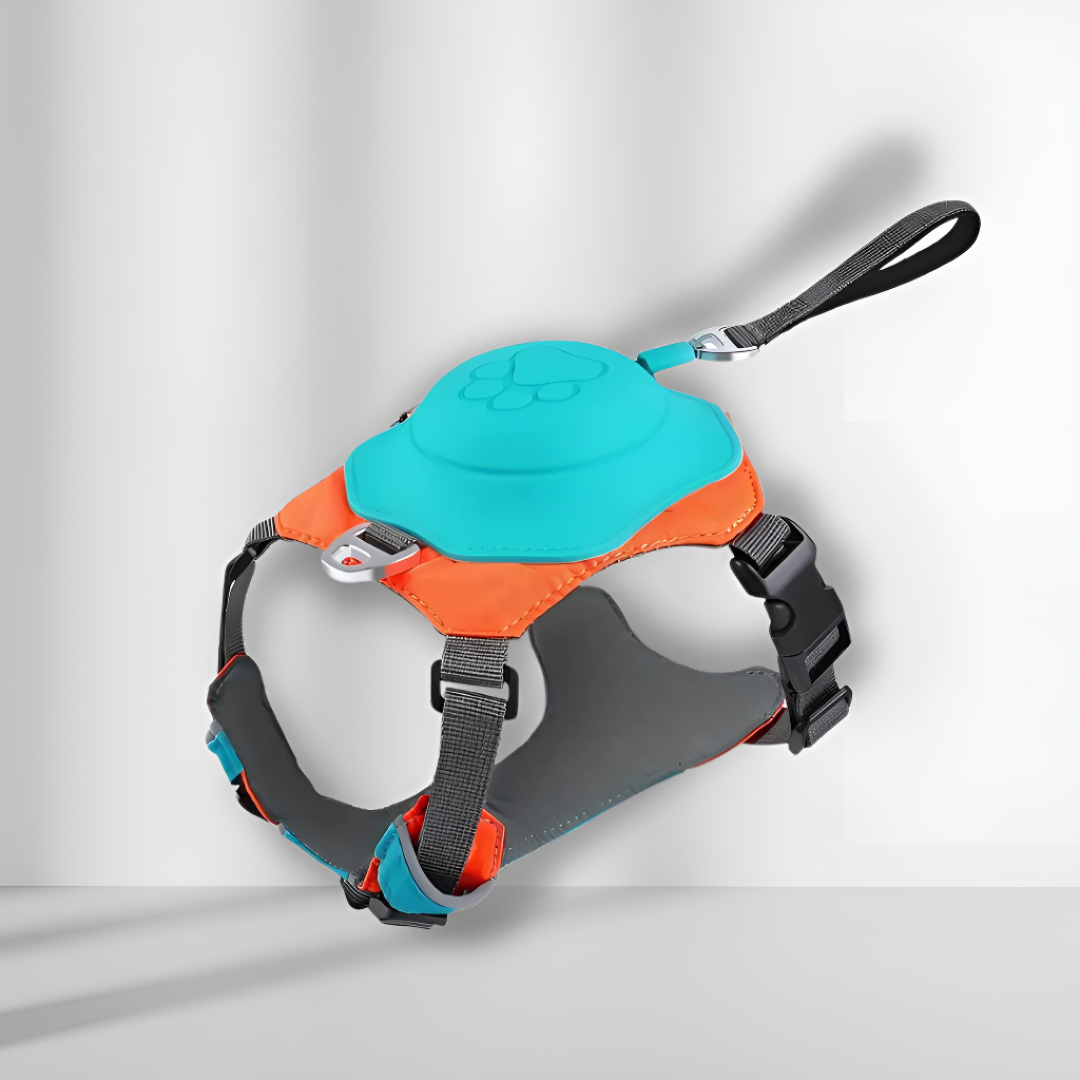 No-pull Dog Harness Adjustable Comfortable Walking Leash Set