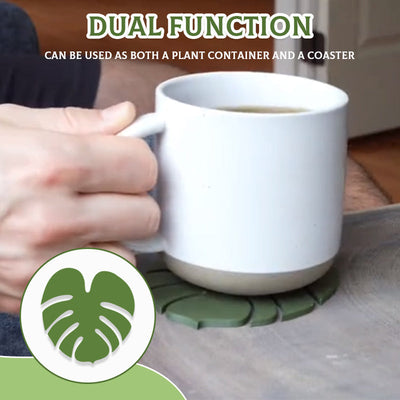 Plant Pots That Double As Coasters For Stylish Indoor Gardening